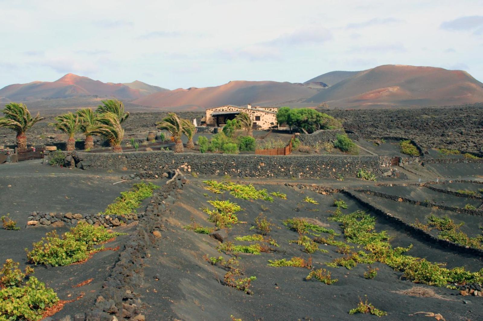 Casa Rural Vega De Timanfaya Uga Exteriér fotografie