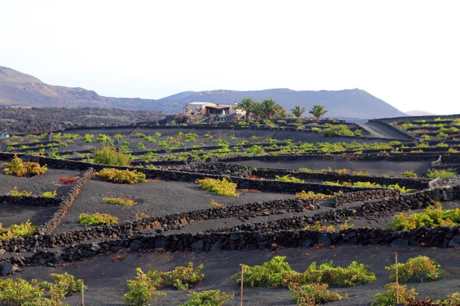 Casa Rural Vega De Timanfaya Uga Exteriér fotografie