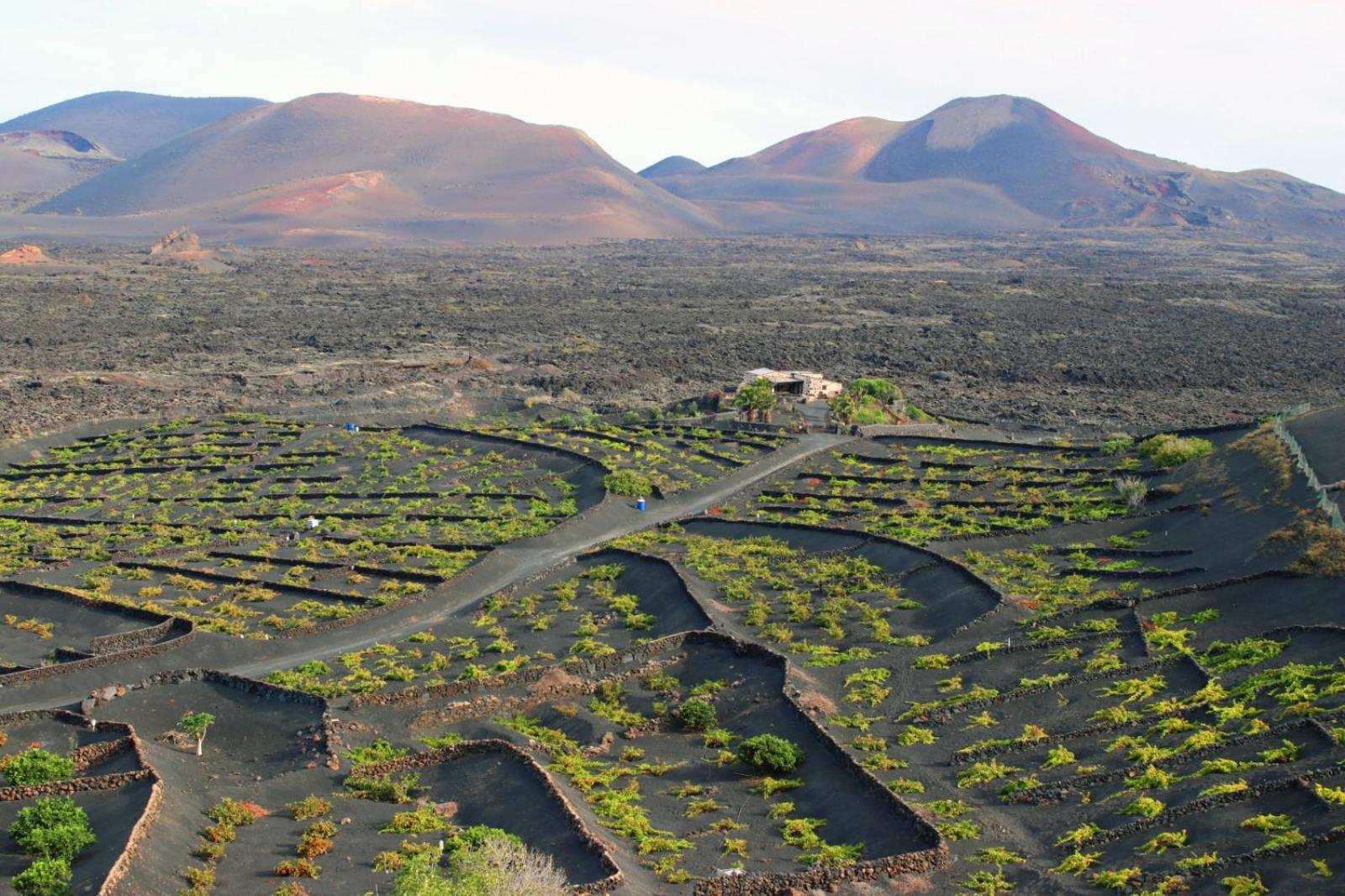 Casa Rural Vega De Timanfaya Uga Exteriér fotografie